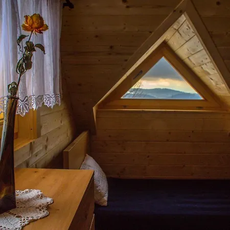 Muflon W Gorach Sowich Feriehus Jugów