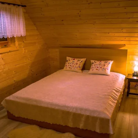 Muflon W Gorach Sowich Jugów