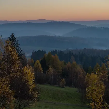 Muflon W Gorach Sowich