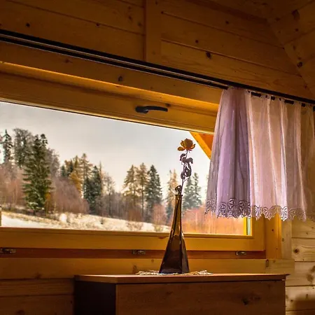 Muflon W Gorach Sowich Jugów