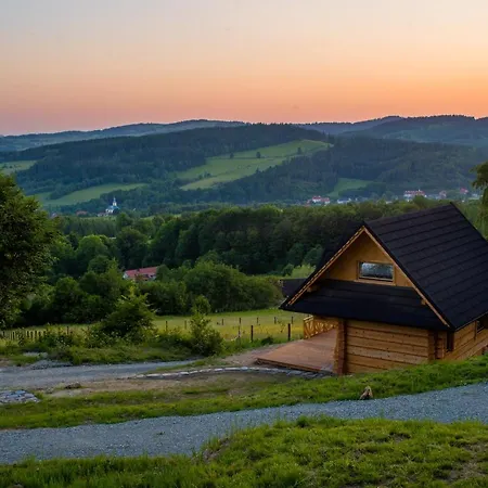 Muflon W Gorach Sowich Jugów