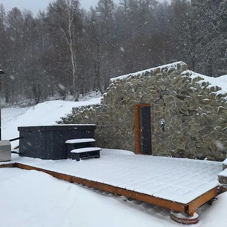 Muflon W Gorach Sowich Jugów