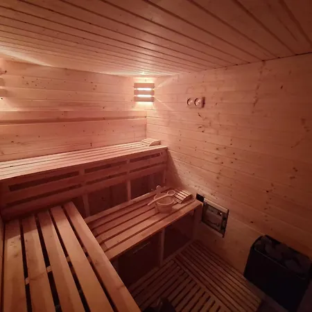 Muflon W Gorach Sowich * Jugów