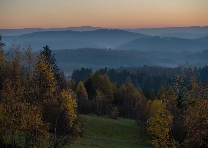 Muflon W Gorach Sowich