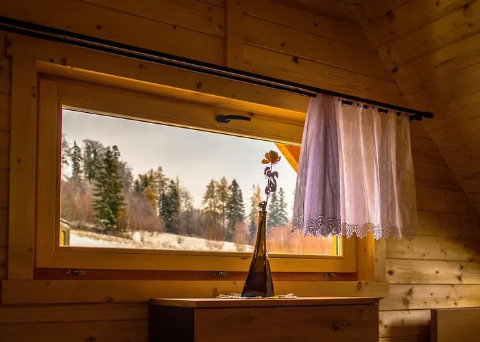 Muflon W Gorach Sowich Jugow