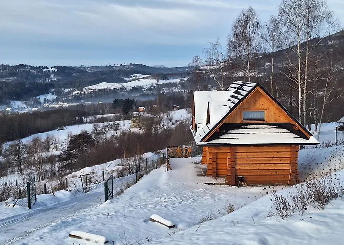 Muflon W Gorach Sowich *